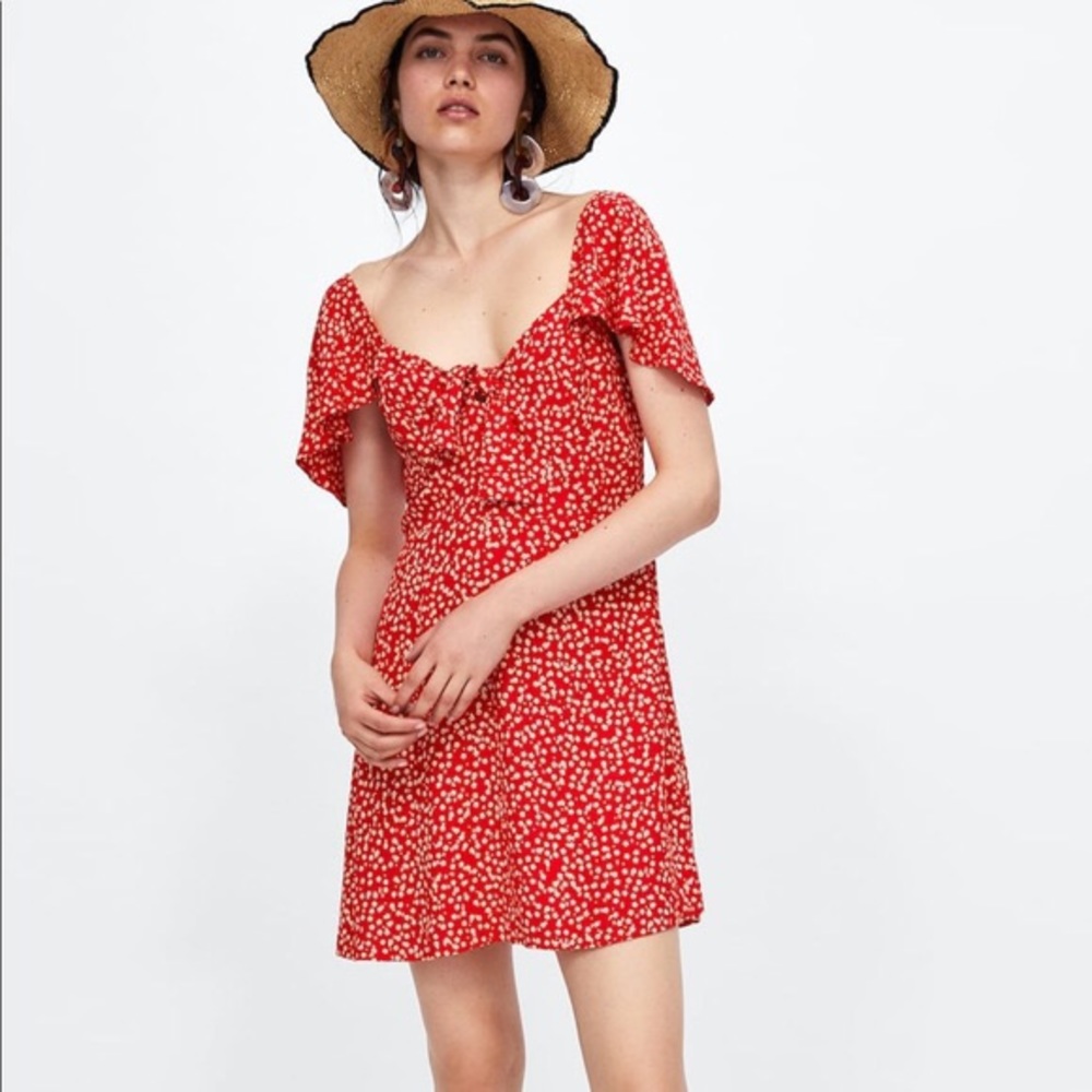 Zara dress